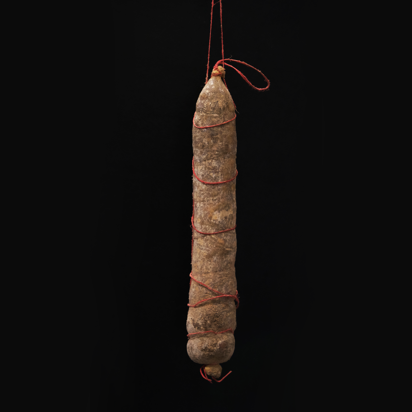 salame lardellato